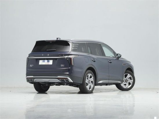 Benzin Hongqi HS7 Araç Otomobil 4×4 4×2 6 Koltuklu / 7 Koltuklu 3
