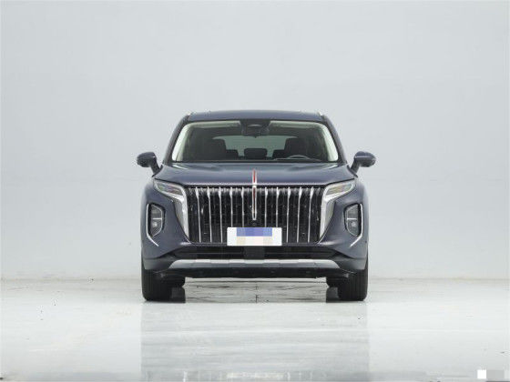 Benzin Hongqi HS7 Araç Otomobil 4×4 4×2 6 Koltuklu / 7 Koltuklu 1