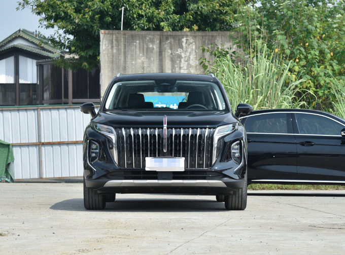 Benzin Hongqi HS7 Spor Aracı Otomatik Şanzıman 2